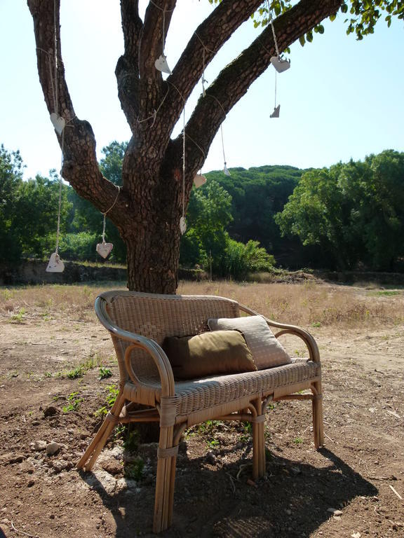 Oasis Cascaes