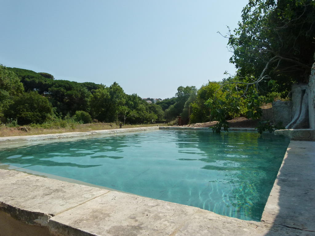 Campo de lujo Oasis Cascaes
