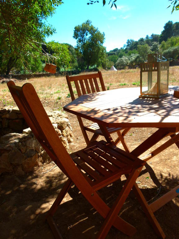 Campo de lujo Oasis